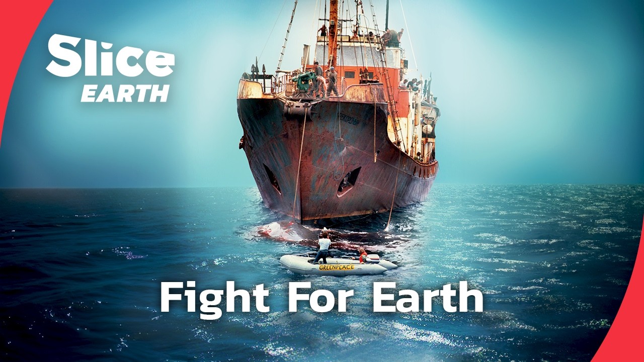 The Origins of Greenpeace: When Activism Meets Action |&nbsp;SLICE EARTH | FULL DOC