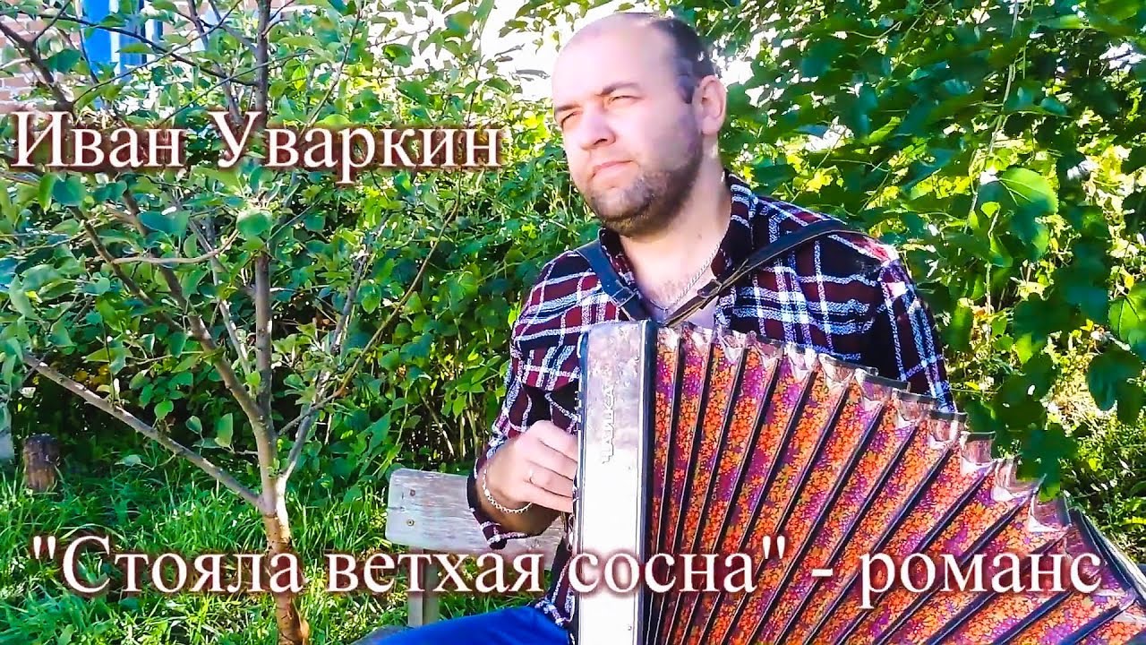 Песня под гармонь 