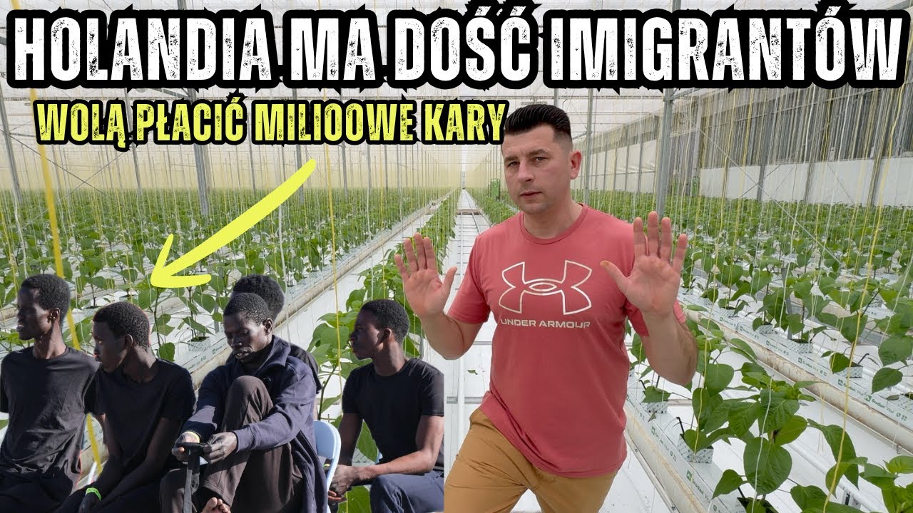 STOP imigrantom? Holandia wybiera kary zamiast azylantów