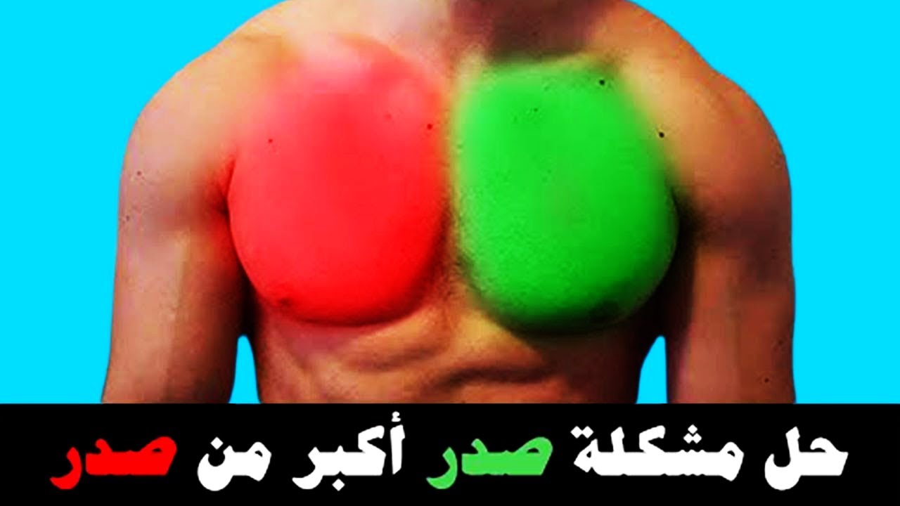 الحل الوحيد لمشكلة عضلة أكبر من عضلة || عدم تناسق العضلات || جدول الصدر