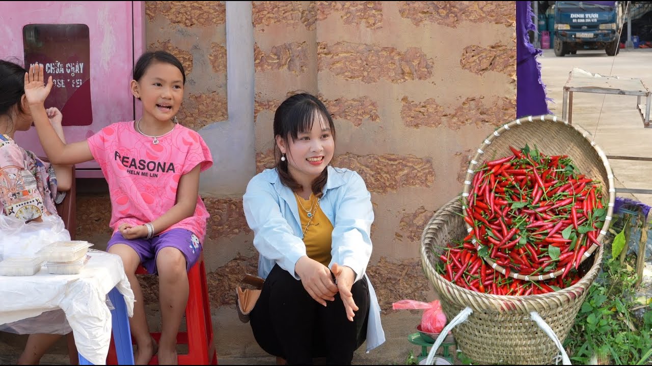 Harvesting chili peppers to sell, buying rice seeds, The watermelon garden was destroyed by ants