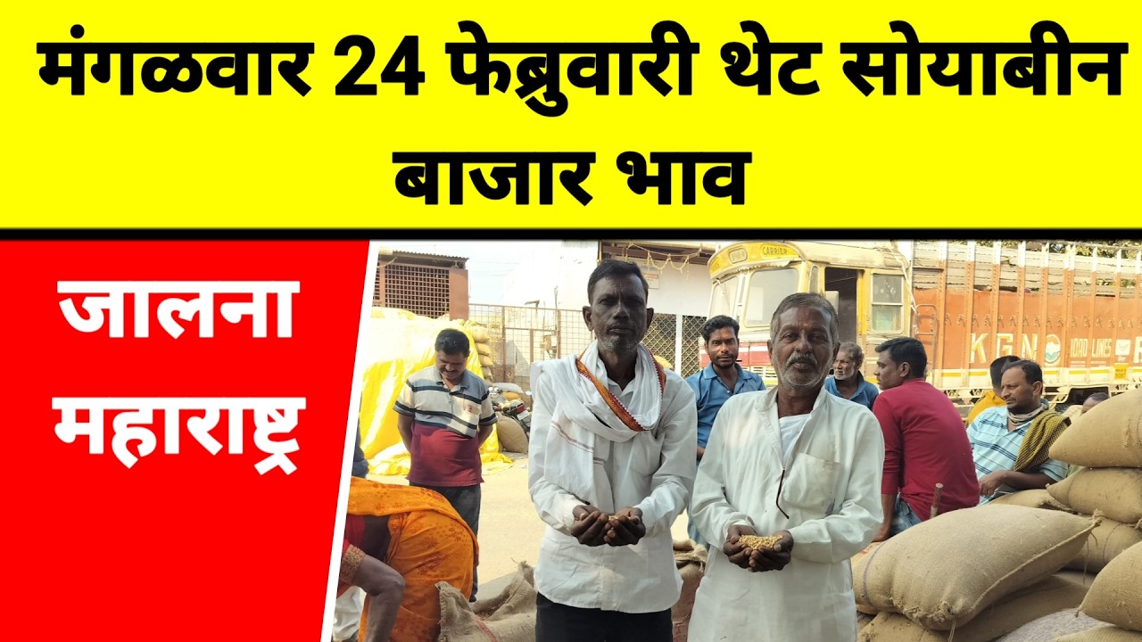 मंगळवार 24 फेब्रुवारी थेट सोयाबीन बाजार भाव जालना महाराष्ट्र || सोयाबीन भावात घसरण