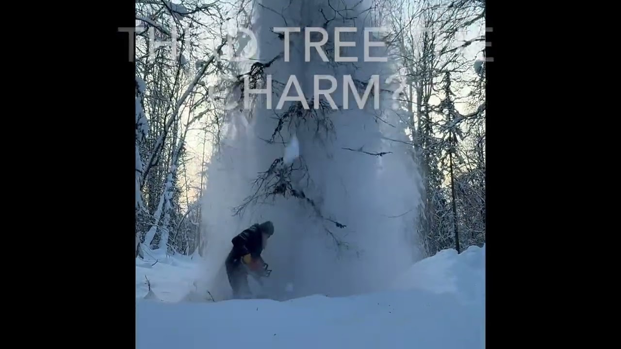 Tree cutting bloopers take 1
