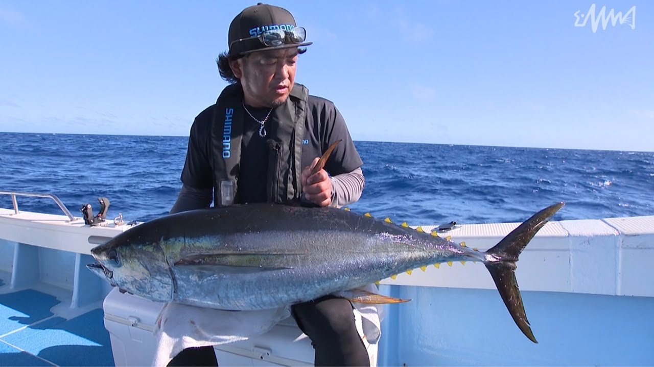 SALT Dreamer#088 沖縄県久米島 キハダ