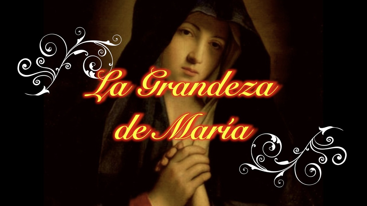 ¡Dichosas las entrañas que te llevaron! | Meditaciones Cuaresmales - Día 19: 3º Domingo de Cuaresma
