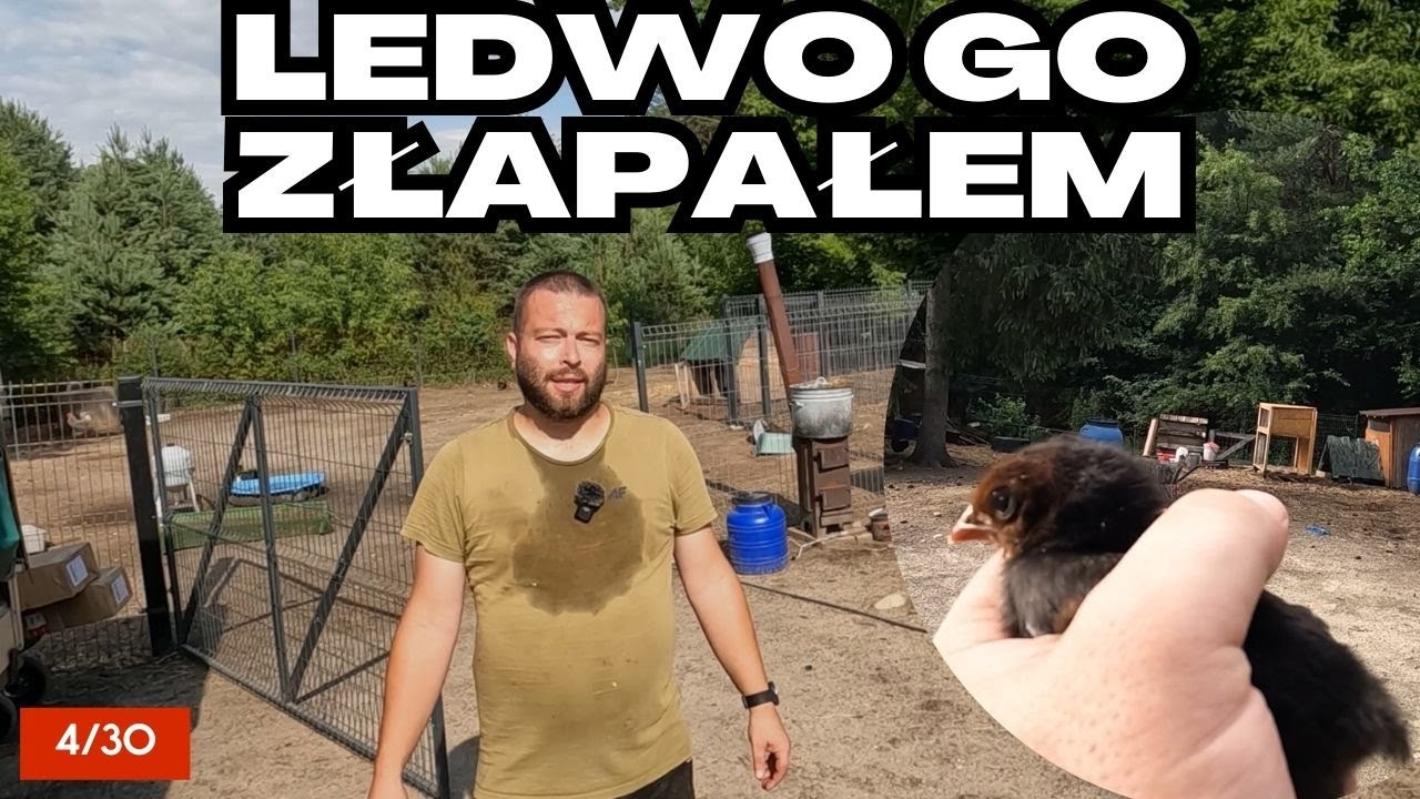 Kolejne przeprowadzki, kolejni uciekinierzy