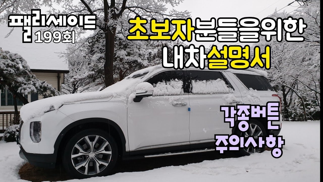 팰리세이드 내차 설명서( 기초설명)