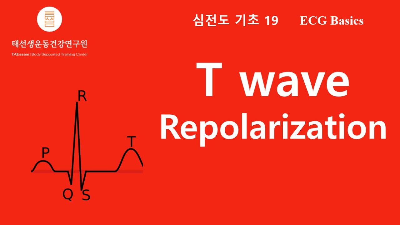 【19h ECG Basics-English Subtitled】 T wave Repolarization T파 재분극