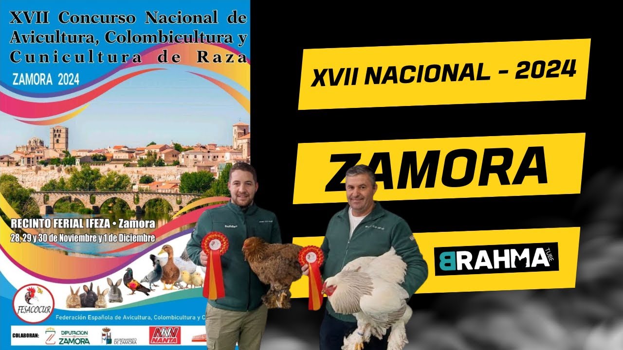 CAMPEONATO NACIONAL DE AVICULTURA - Zamora 2024