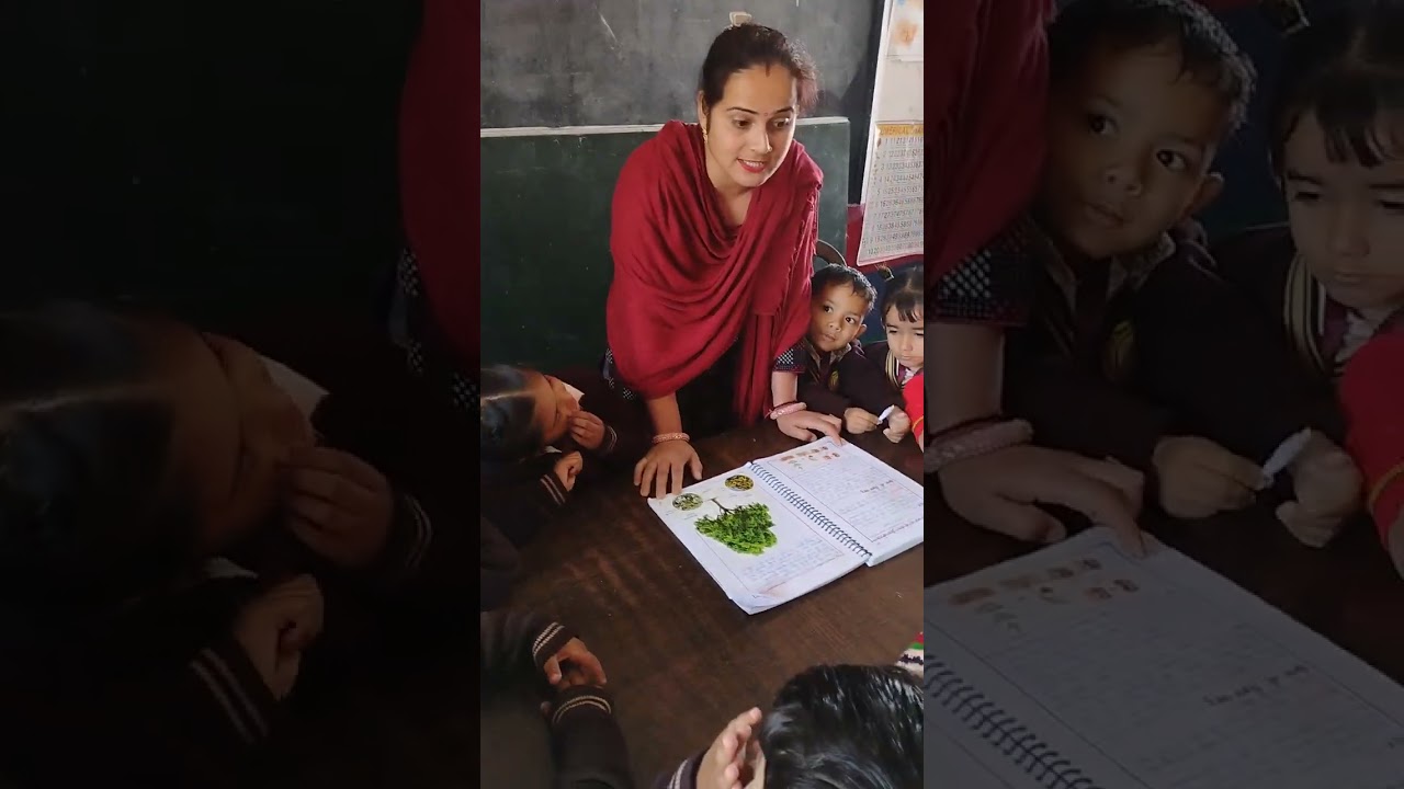 DECE -4 PROJECT VEDIO सत्रहवा दिन (क )ACTIVITY -23