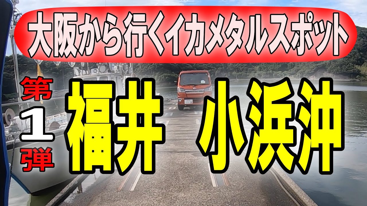 第１弾  福井県 小浜沖 大阪から行くイカメタルゲームスポット４選【イカメタル・オモリグ】2018 8 18　かどや丸マイカ釣り