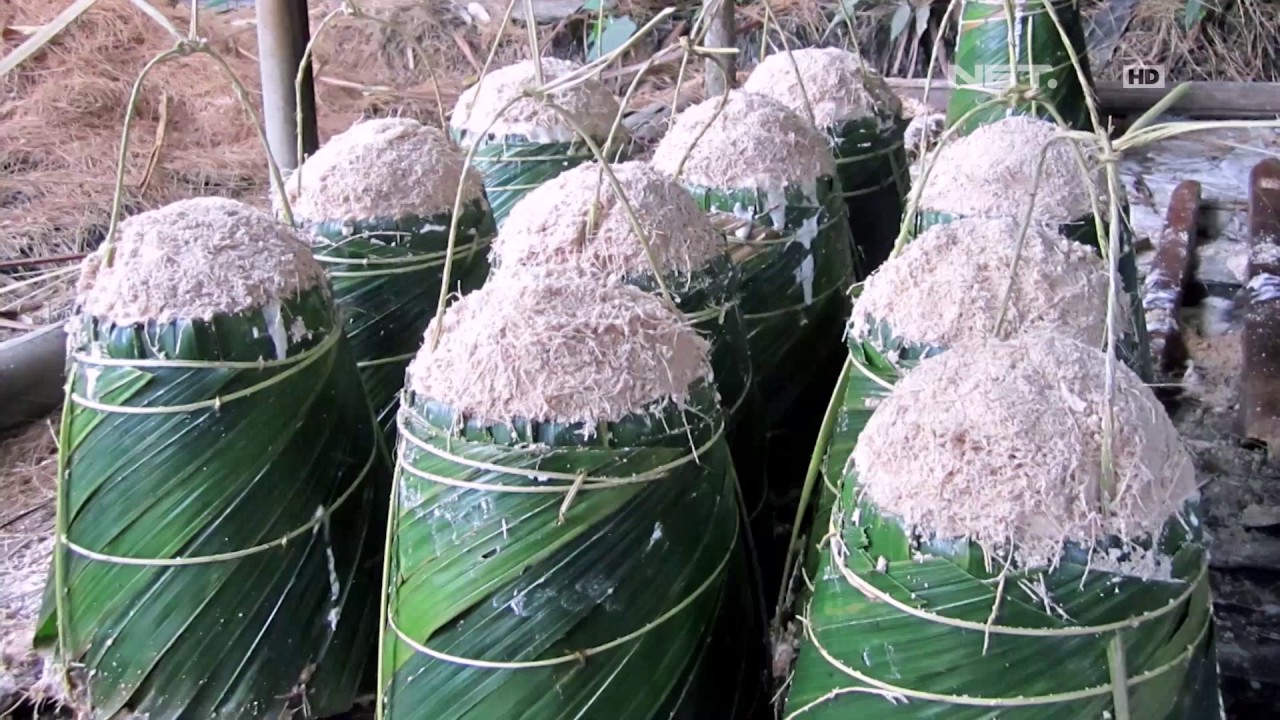Apa Sih Bedanya Soun & Bihun?