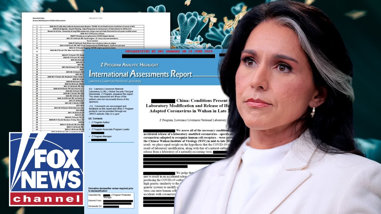 DETAILS: Gabbard releases HUNDREDS of COVID lab leak documents