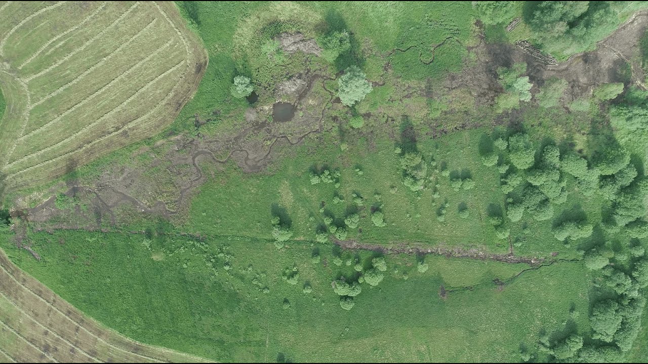 Un marais retrouvé : le projet de restauration du marais de Charix (Ain)