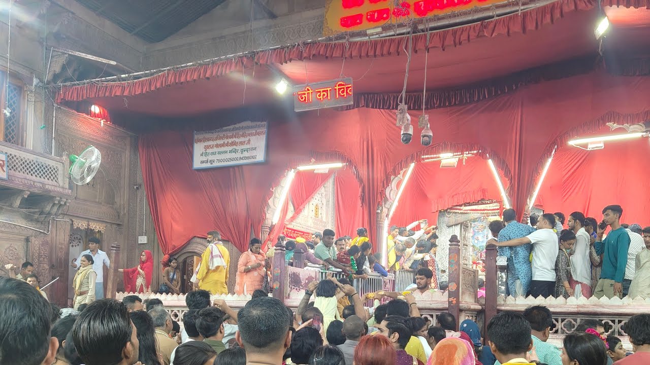 vrindavan darshan aur  seva #radha #live #vrindavandarshan
