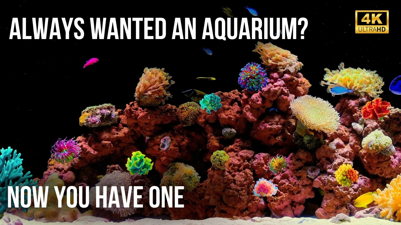 🫧 Мягкая Текущая Вода в 4K Аквариуме | Идеально для Сна или Спокойной Работы