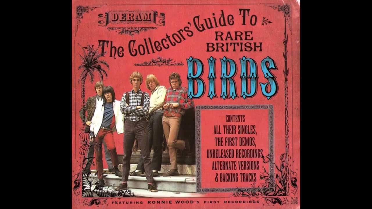 The Birds  -  Say Those Magic Words