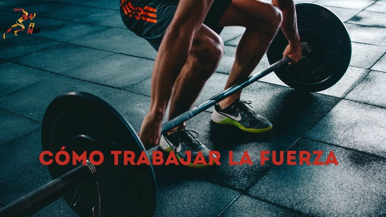 Cómo entrenar la Fuerza