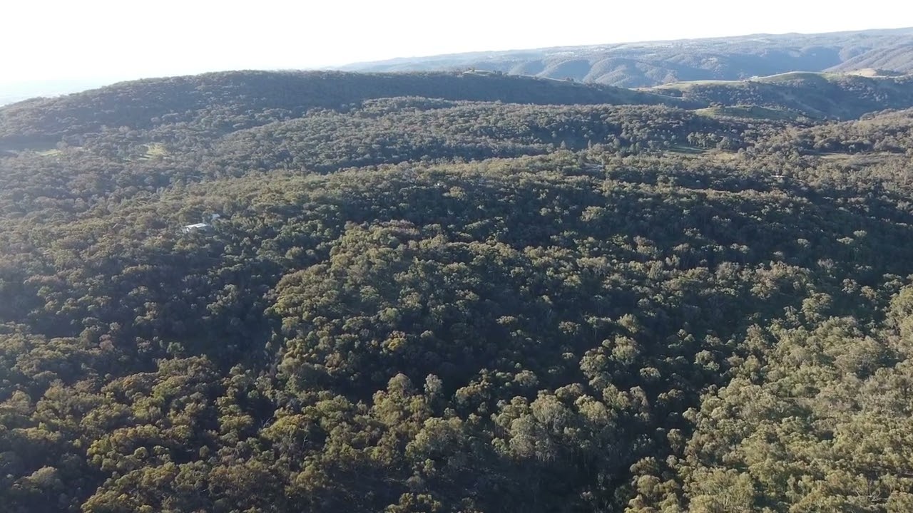 DJI mini se drone over Australian   Bush near Mudgee edited in 1080p