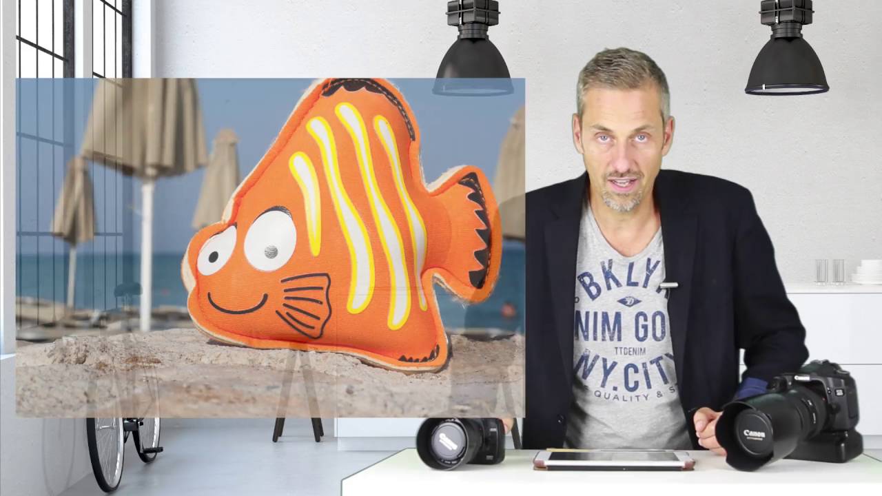 Übung Schärfentiefe & Autofokus 🔴 2019: Warum dies 80% Deines Fotografie-Erfolgs ausmacht!