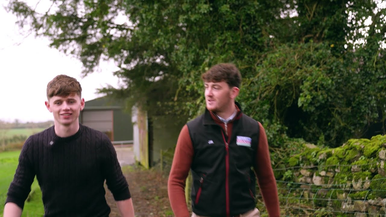 How Natural Stockcare Has Helped Conor Hennessy's Mixed Farm Enterprise in Kilkenny to Thrive