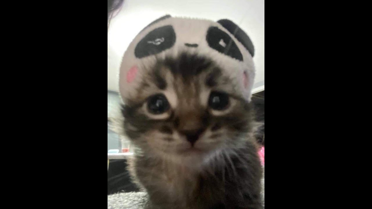 [FREE] Funk x BoomBap x Digital type beat (prod by me)