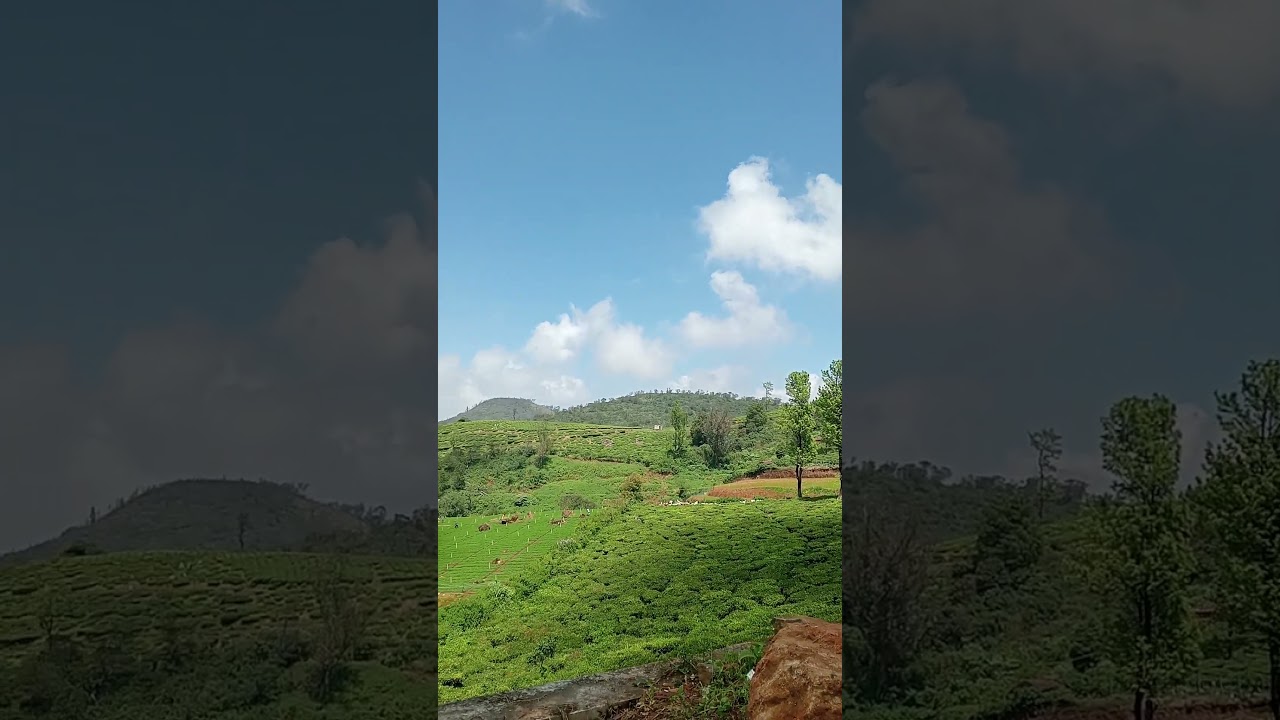Ooty road Indira Nagar view,#tourist #tour#tourism #kerala #india