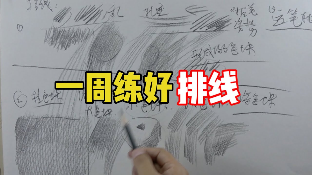 如何一周练好排线？素描教程