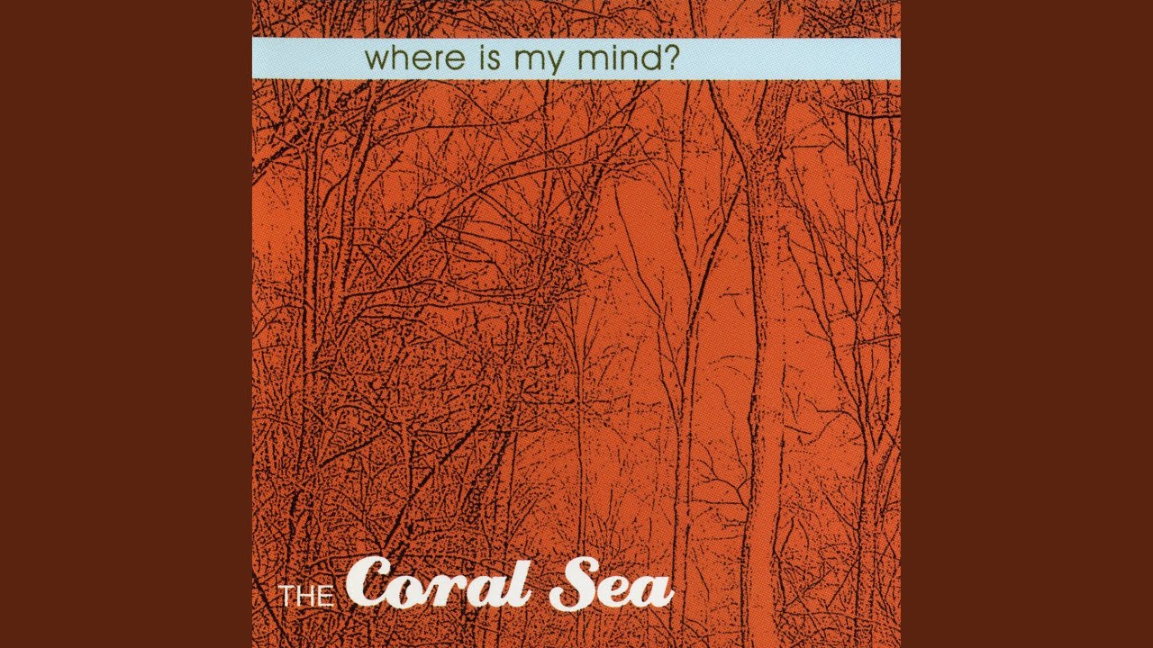 Where Is My Mind