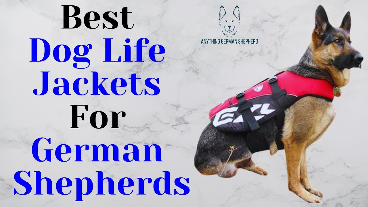 Best Life Jackets For German Shepherds
