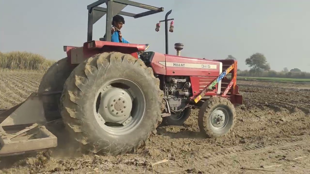 Massey Ferguson performance in cultivator #agro_tractor_pakistan #machinerychannel #video #farming 