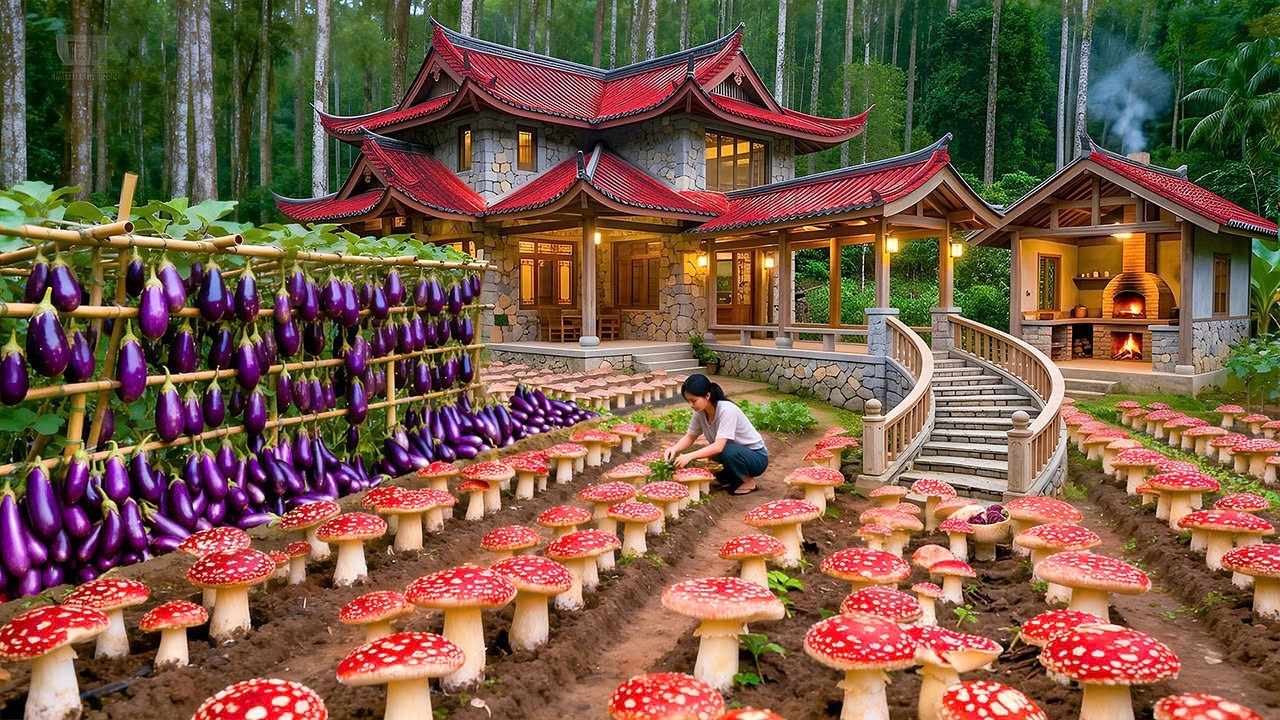 Harvesting Mushrooms, Eggplants & Vegetables After 3 Months of Care | Nhi Build Life