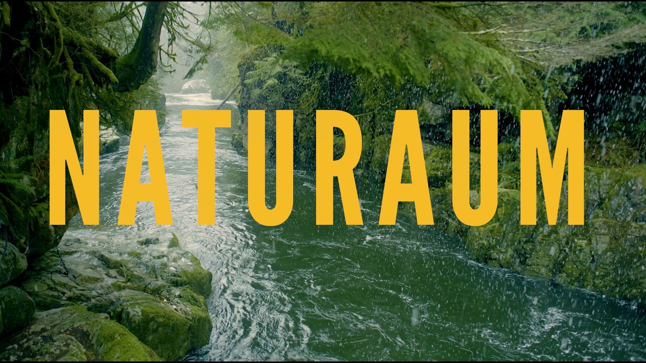 Nature 4K - Snow on the Capilano River - Meditate in Nature