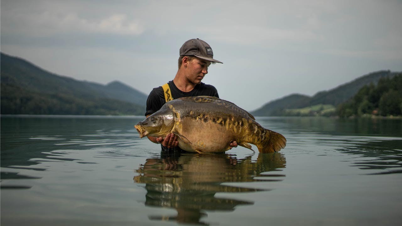 Carp Fishing Austria #freestylefishing