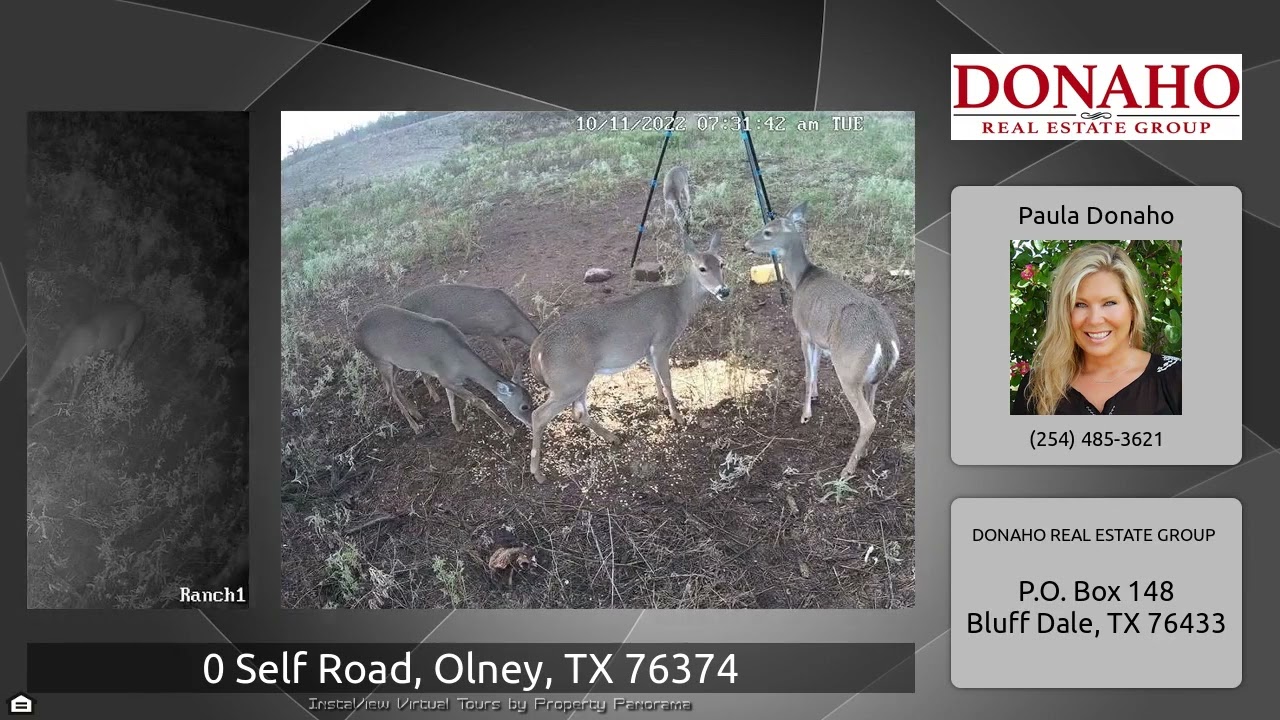 20 Recreational Acres with Wildlife in Olney, Texas in Young County