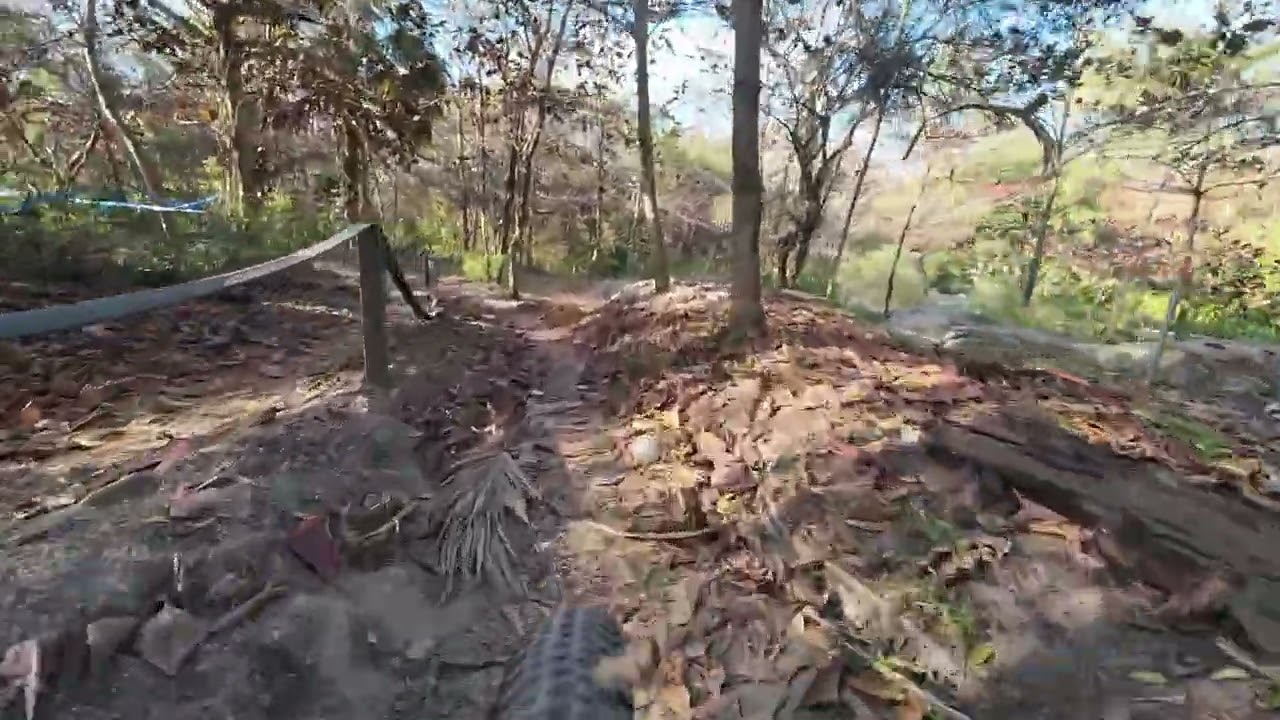 Amelia Earhart Park MTB Ride | Fast & Flowing Trails | DJI Action 4 | 02-08-26