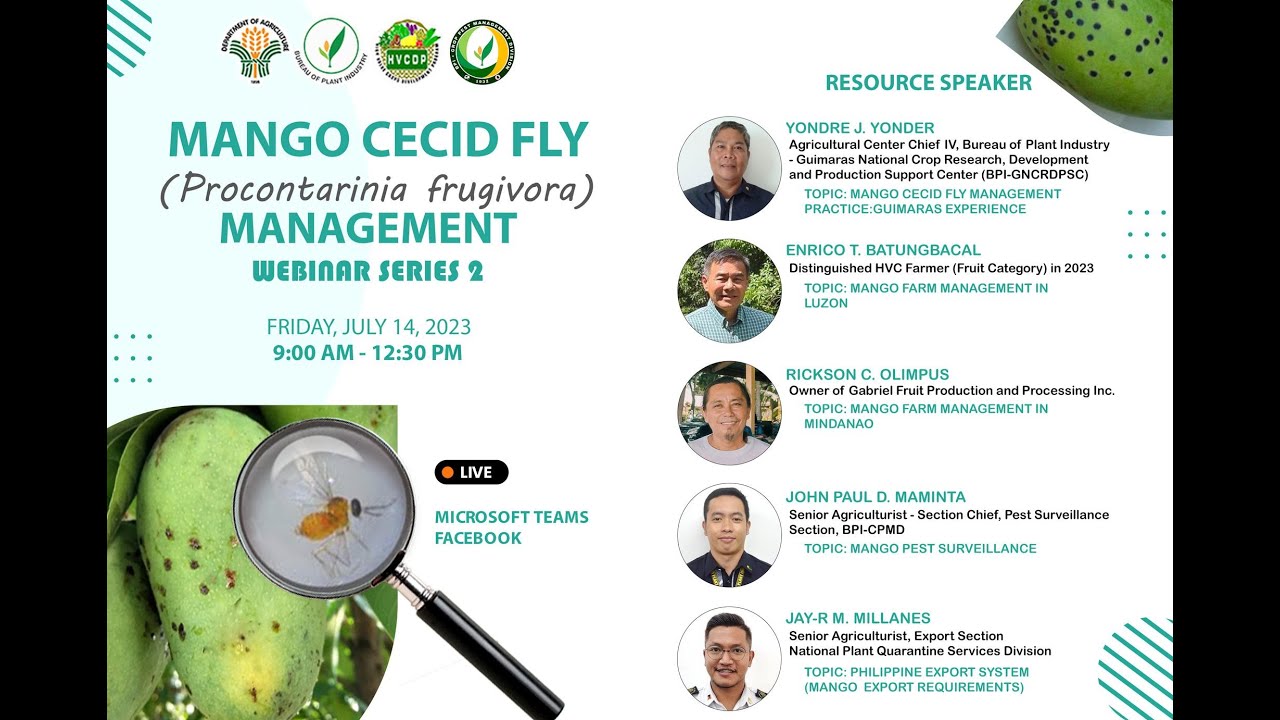 MANGO CECID FLY (Procontarinia frugivora) MANAGEMENT WEBINAR SERIES 2