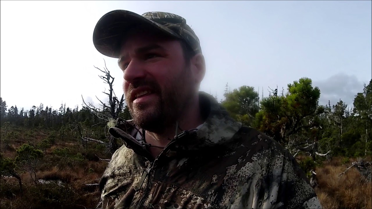 What the heck is a Muskeg?