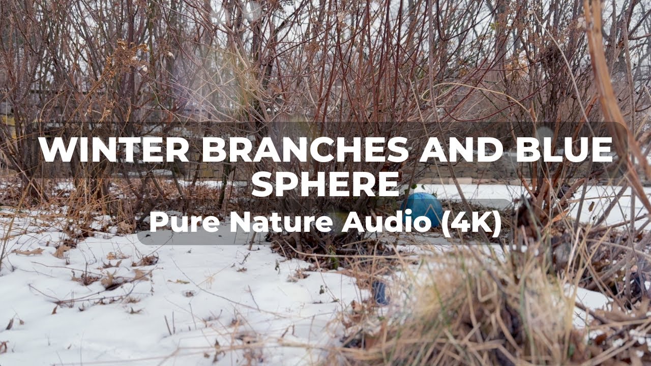 Winter Peace | Blue Sphere Among Frozen Branches | Nature Ambience (4K)