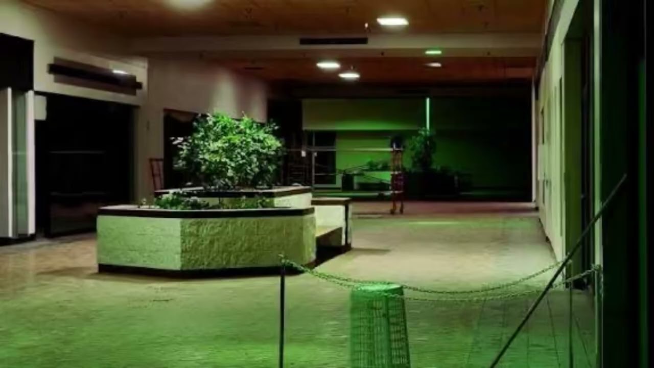 SAKI_024 - MALLWALK