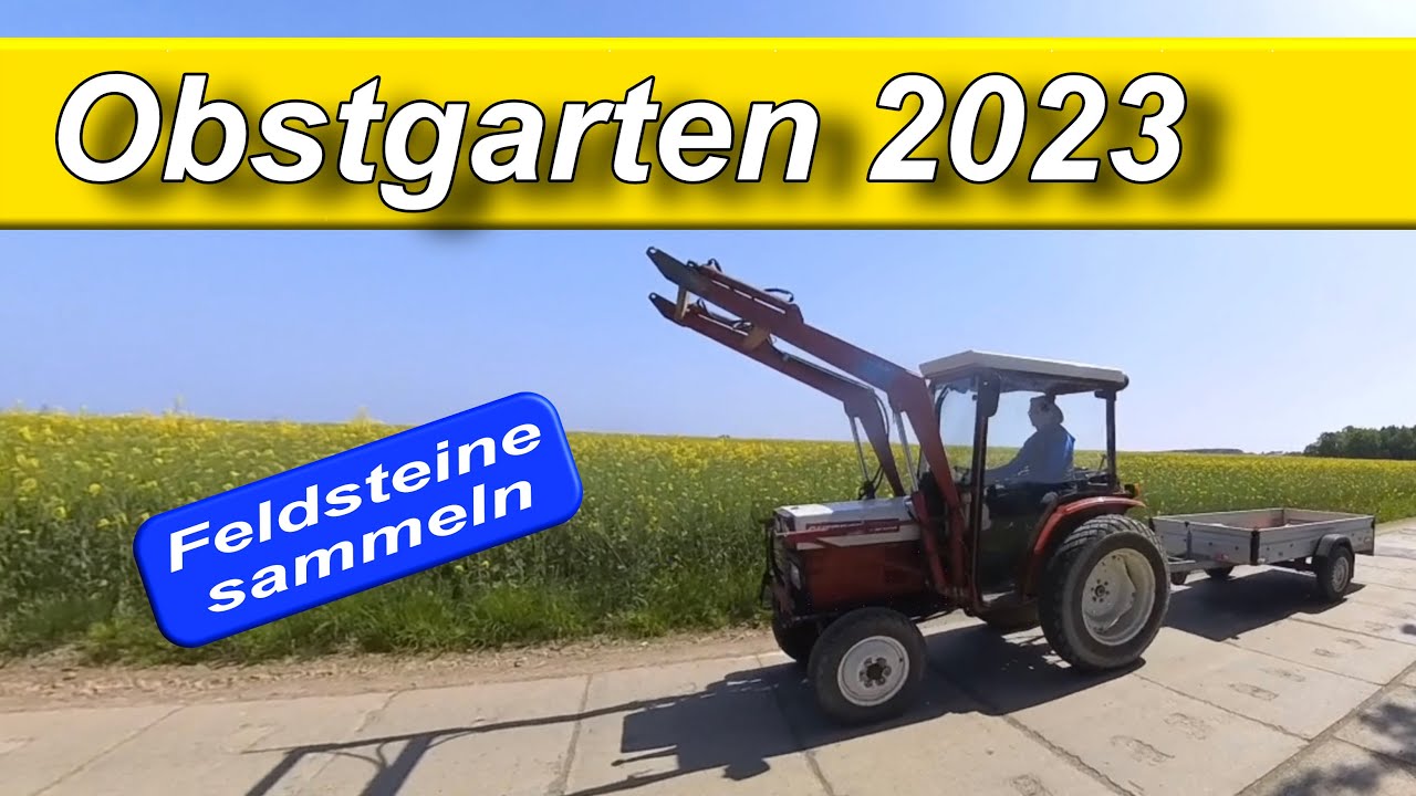 Feldsteinesammeln mit dem Gutbrod 4300