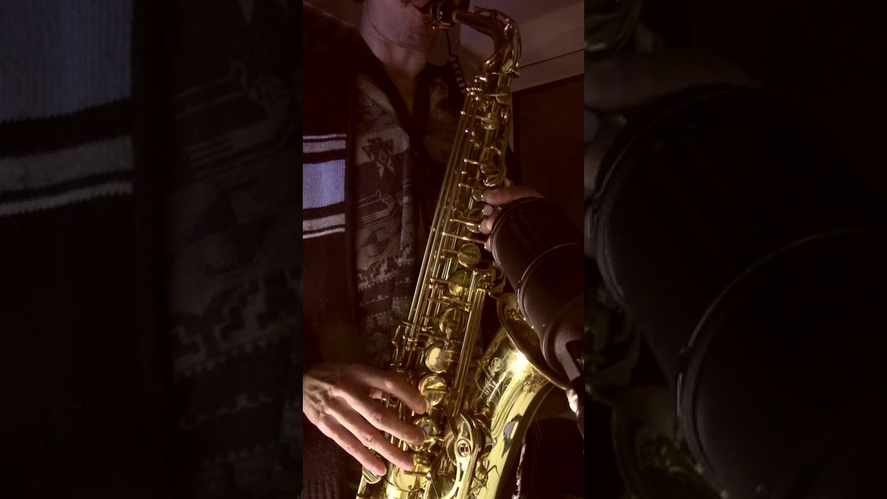 Windplayer. November. Sax acapella.