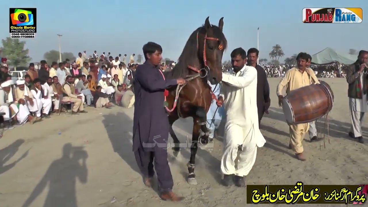 Parwaz Jamia ll Haji Abduljamia Jappall Horse Dance ll Mari Qutab Kahroar Pakka Lodhran 30 Januar