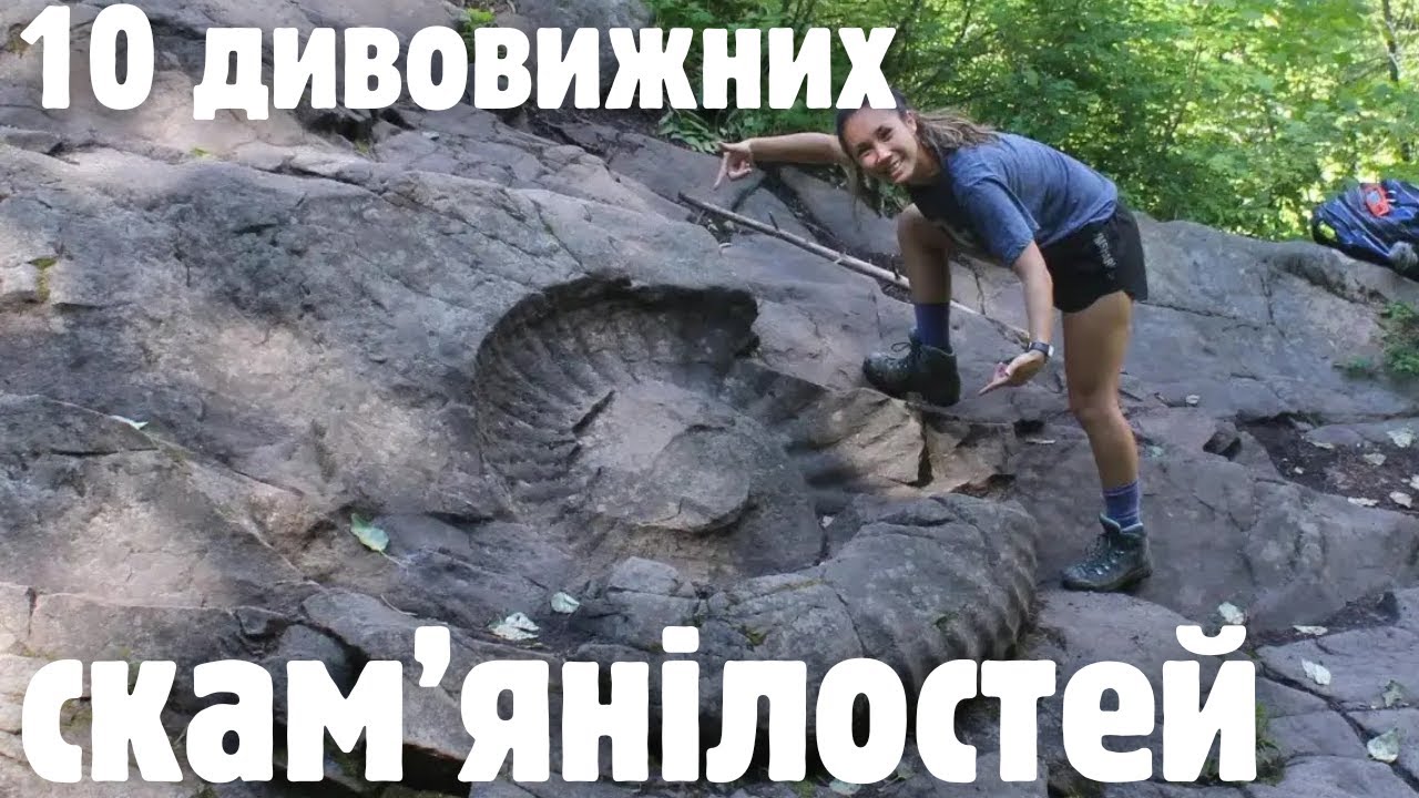 Неймовірні викопні рештки: від гігантського амоніта до рака, який жив в амоніті