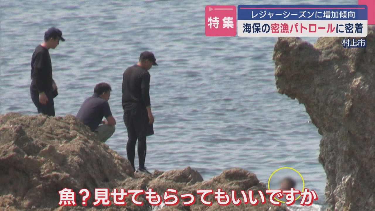【特集】摘発の瞬間をカメラが捉えた「レジャー密漁」海保の密漁パトロールに密着【新潟】スーパーJにいがた8月15日OA