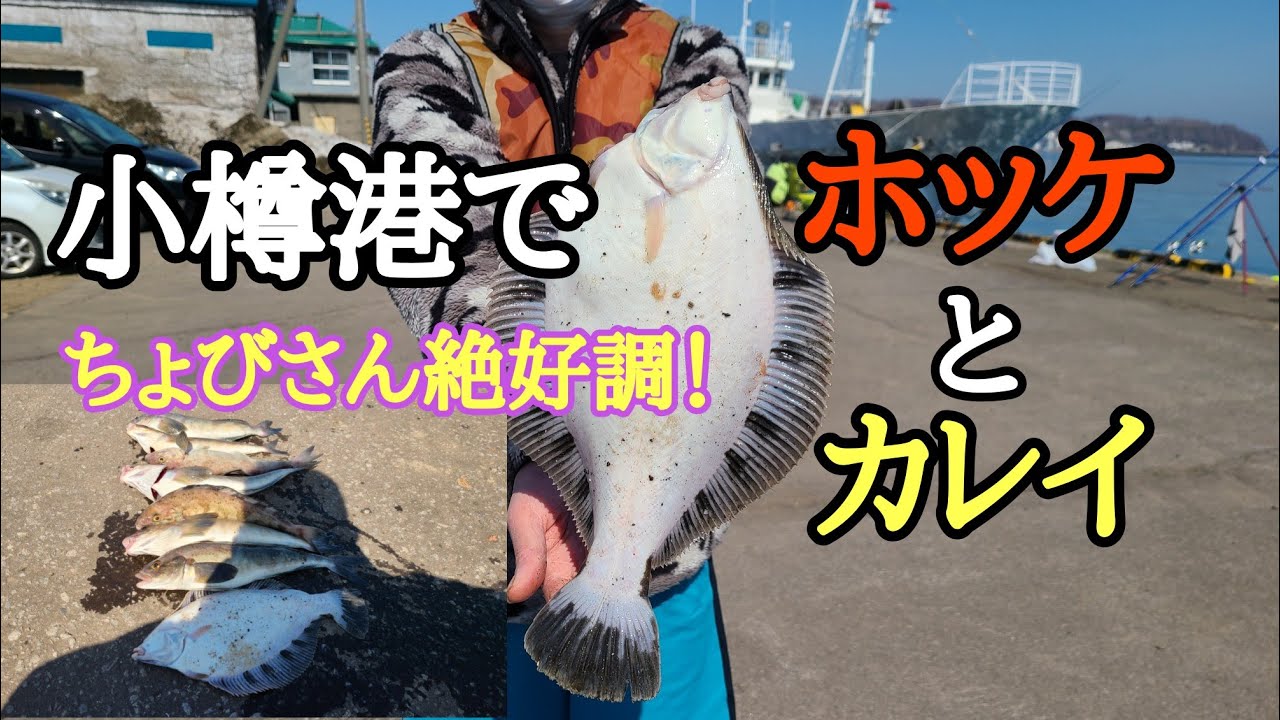 小樽港でホッケとカレイを狙いました！