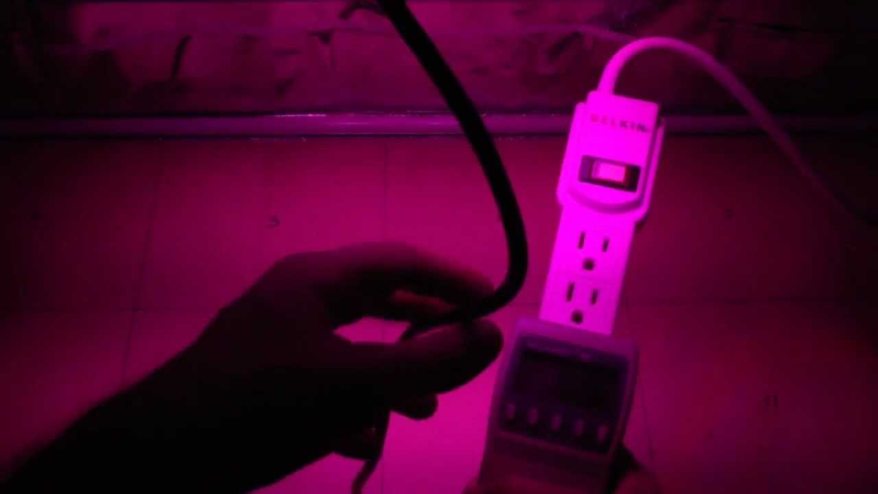 180w BlackStar Chrome vs 180w Ebay Knockoff vs 252w X-Type - 3X The PAR Output
