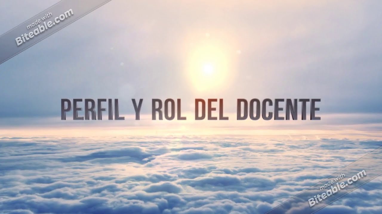 Perfil y rol del Docente