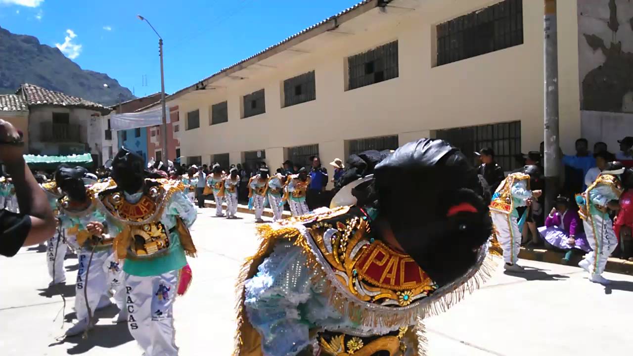 NEGRITOS DE ACORIA 2016 ( PACAS )