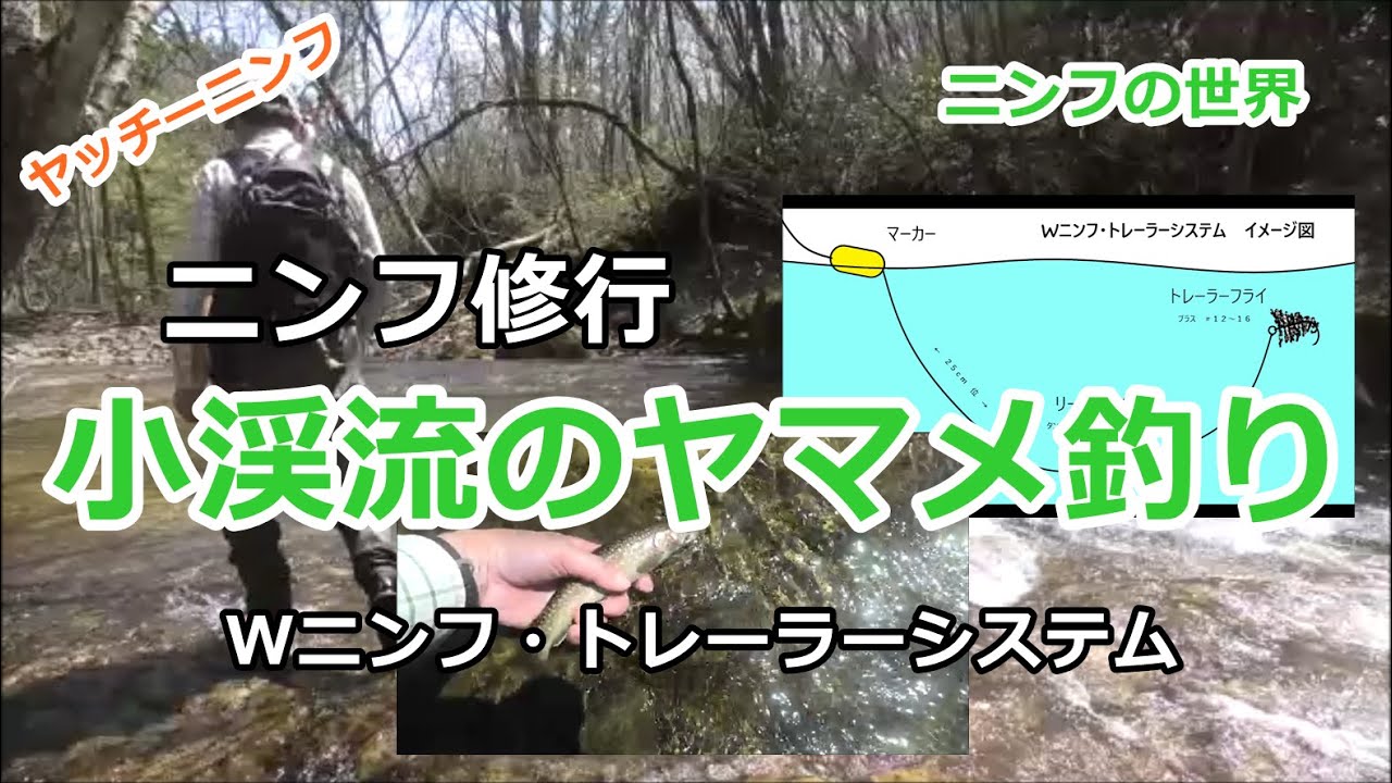 小渓流のヤマメ釣り /  wﾆﾝﾌ・ﾄﾚｰﾗｰｼｽﾃﾑ  ~ﾆﾝﾌの世界~ / 宮城の渓流 / みちのく釣りの旅  ﾌﾗｲﾌｨｯｼﾝｸﾞ渓流釣り(4K) fly fishing